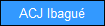 ACJ Ibagu�